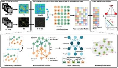 Beta-informativeness-diffusion multilayer graph embedding for brain network analysis